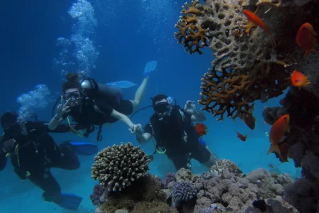 Ultimate Guide to Scuba Diving in Egypt: Dive Into History and Beauty